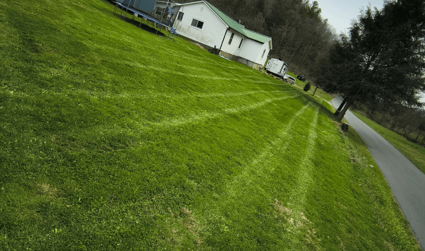 Lawn Mowing